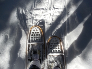 DSCN0178 snowshoes