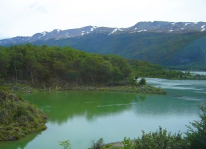 Argentina's Laguna Verde in Tierra del Fuego National Park